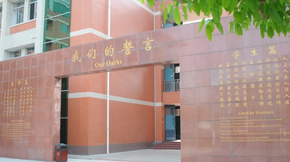 1588143790323722.png 11.png