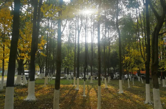 1588143986727265.png 18.png