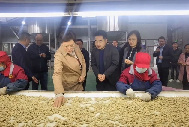 1650507078825185.jpg 朱莉在四川老灶煮食品有限公司查看花生挑揀情況.jpg