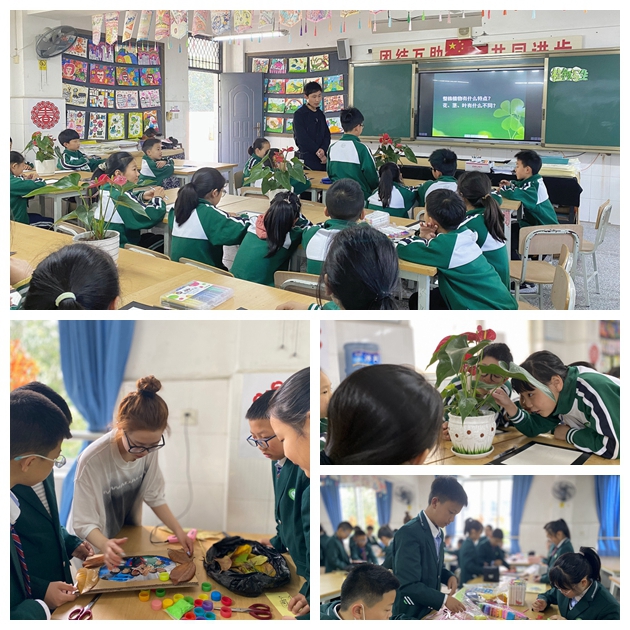 1651196603726495.jpg 繼光實(shí)驗(yàn)學(xué)校美術(shù)組開(kāi)展新教師成長(zhǎng)計(jì)劃教育教學(xué)活動(dòng).jpg